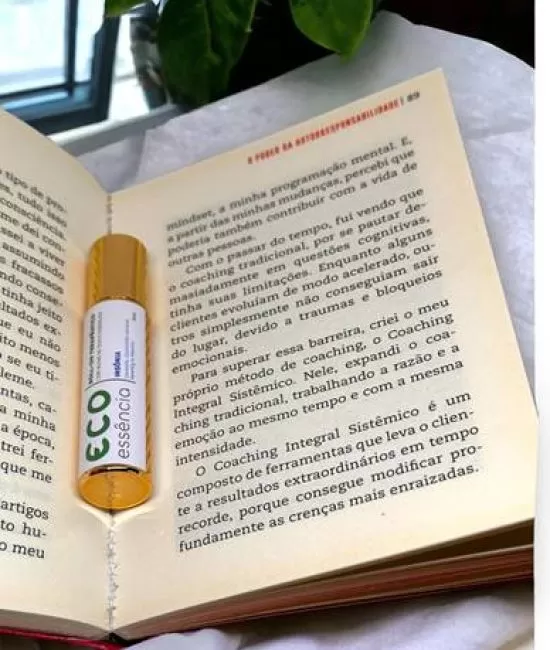 Imagem50