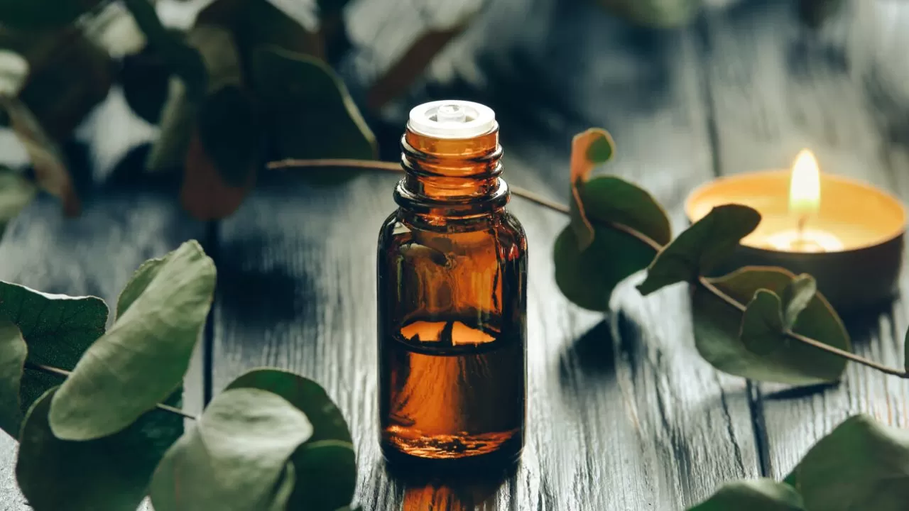 Eucalyptus oil and eucalyptus leaves.